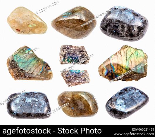 set of various Labradorite gemstones isolated on white background
