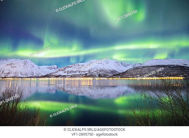 Northern Lights is reflected in Kafjorden. Kafjorden, Lyngen Alps, Troms, Norway, Lapland, Europe