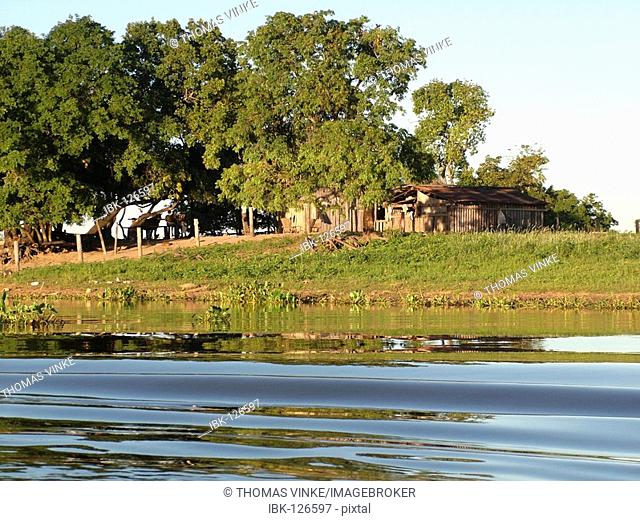 Huts of farm workers (Campesinos) at the Rio Paraguay, Pantanal