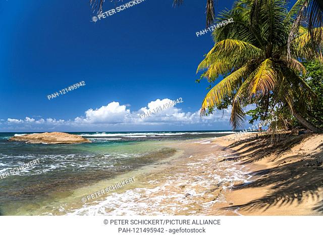 Strand am Pointe Baptiste bei Calibishie, Parish Saint Andrew, Dominica, Karibik, Mittelamerika | the beach at Pointe Baptiste near Calibishie