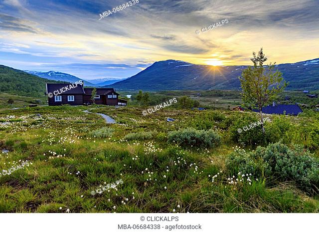 Sunset in the Hardangervidda National Park in Norway with the typical houses immersed into the grass filled by nordic cottongrass, Hordaland