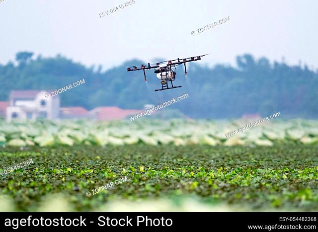 agriculture drone sprayed fertilizer, agricultural technology and smart farming background