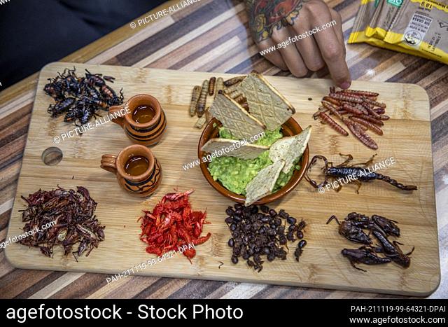 18 November 2021, Mexico, Mexiko-Stadt: Delicious nibbles are served at a Mexican market with a guacamole dip and the typical Mexican liquor, mezcal: Ants
