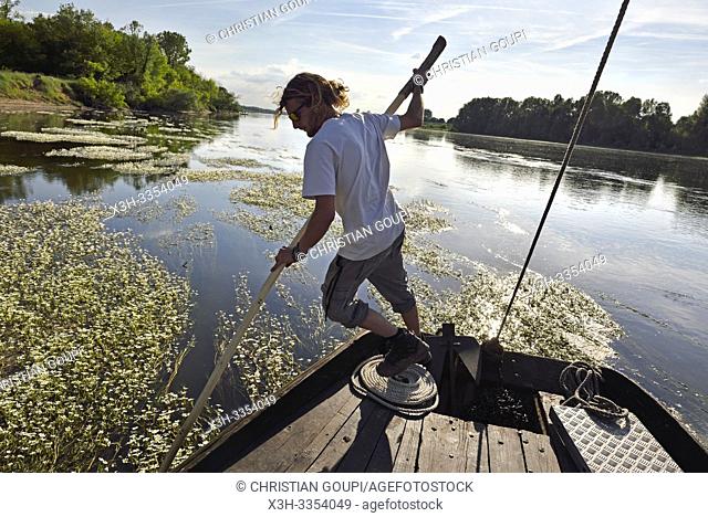 pilote degageant le bateau des bancs de renoncules des rivieres (Ranunculus fluitans), Balade en toue sur la Loire aux environs de Chaumont-sur-Loire