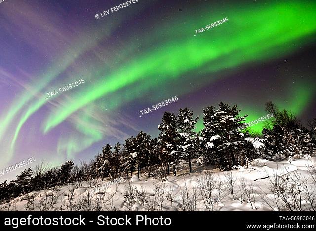 Russia. A view of polar lights in the sky over the wood. Lev Fedoseyev/TASS