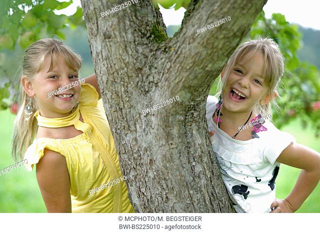 apple (Malus domestica), two little girls standing under apple-tree, smiling