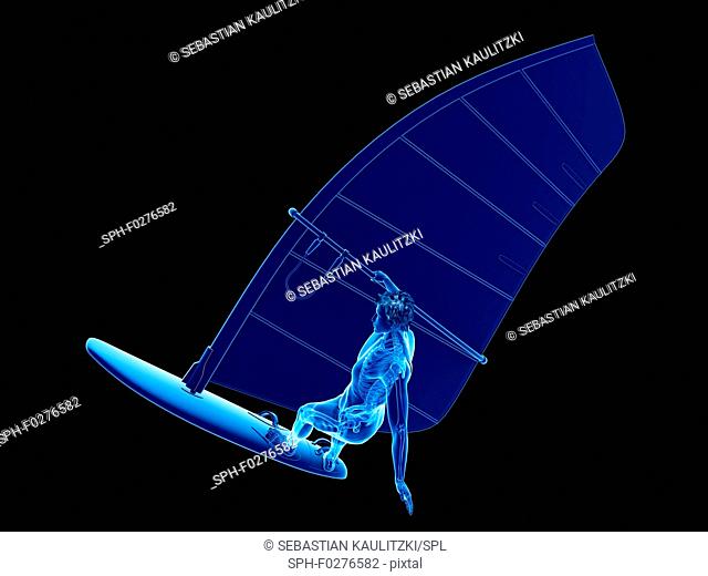 Windsurfer's skeleton, illustration