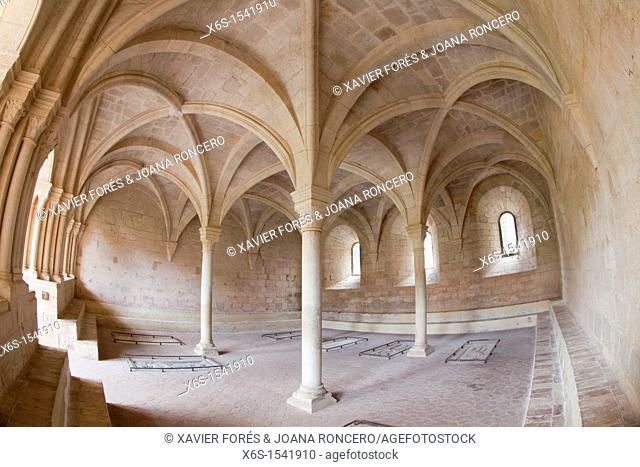 Sala Capitular - Chapter house -, Monastery of Santes Creus - Reial Monasteri de Santes Creus -, Ruta del Cister, Santes Creus, Alt Camp, Tarragona, Spain