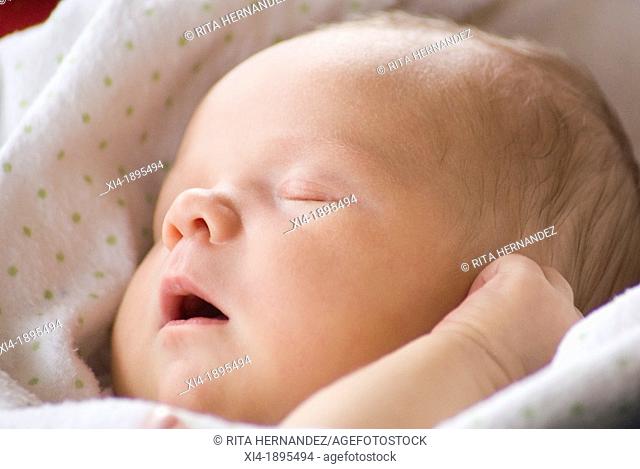 Close-up of a sleeping newborn bundled in a blanket