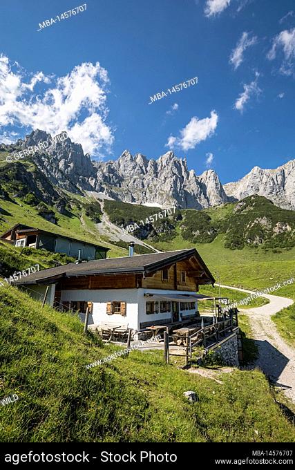 Obere Regalm (1313 m) at the Wilder Kaiser, Kaisergebirge, valley village Going am Wilden Kaiser, Tyrol, Austria