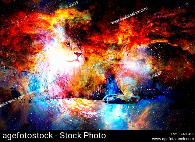 Lion in the cosmic space. Lion photos and graphic effect