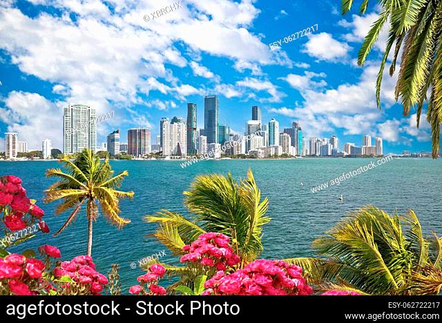 Miami waterfront skyline through palms and flowers view, Florida, United States of America