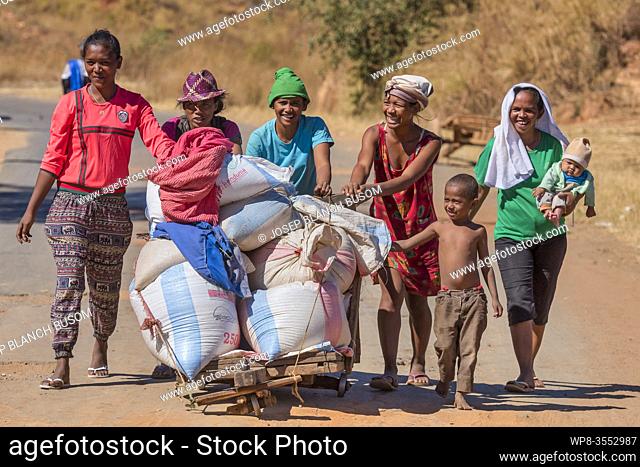 Malagasy female farmers carried merchandise for sale in a market. Madagascar