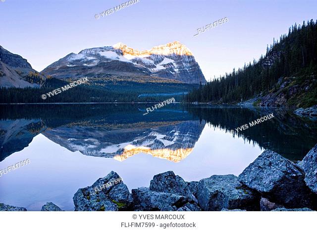 Lake O'Hara and Odaray Mountain at sunrise, Yoho National Park, British Columbia