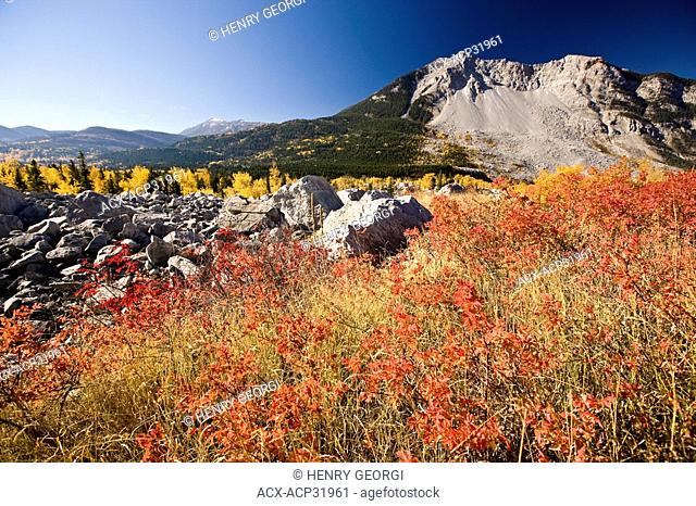 Autumn at Frank Slide in Crowsnest Pass, Alberta, Canada