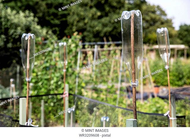 Close up of empty plastic bottles on wooden canes in an allotment