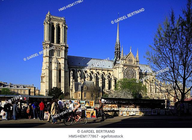 France, Paris, Notre Dame caqthedral and secondhand bookseller on river Seine quays