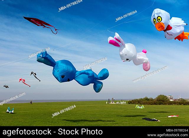 Hang gliding, kite, fly, Norddeich, north, North Sea, Ostfriesland, Lower Saxony, Germany