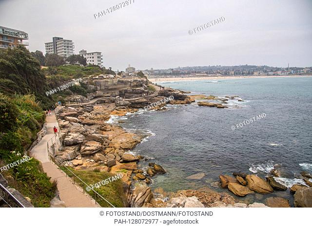 Australia 2019: Impressions Australia - November / December - 2019 Coastal Walk / Sydney | usage worldwide. - /Australien