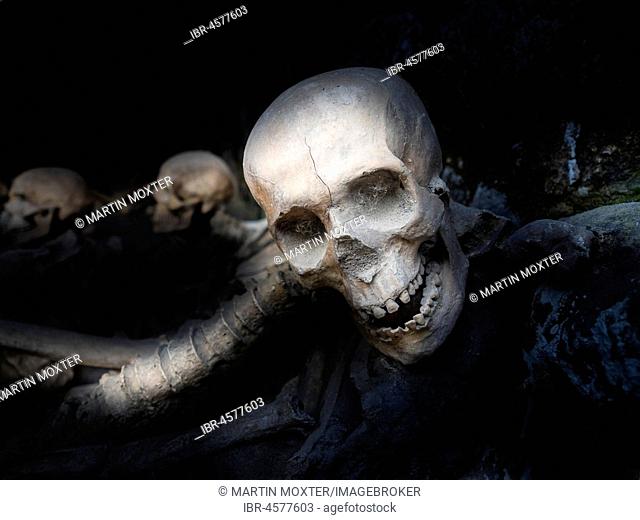 Herculaneum, skull of a volcanic eruption of surprised inhabitants, excavation site, Gulf of Naples, Campania, Italy