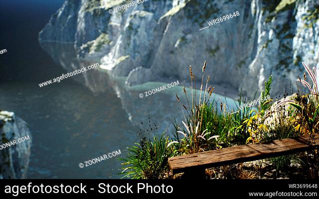 fresh grass at big rocky cliff in ocean
