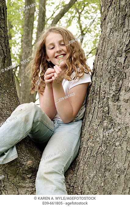 Preteen girl with wavy gold-brown hair and freckles, sitting in tree, in faded jeans and white short-sleeved top, looking at small white wildflower and smiling
