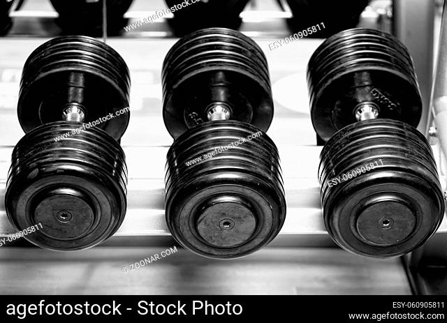 Different sizes and weights of dumbbell free weights at a gym in black and white