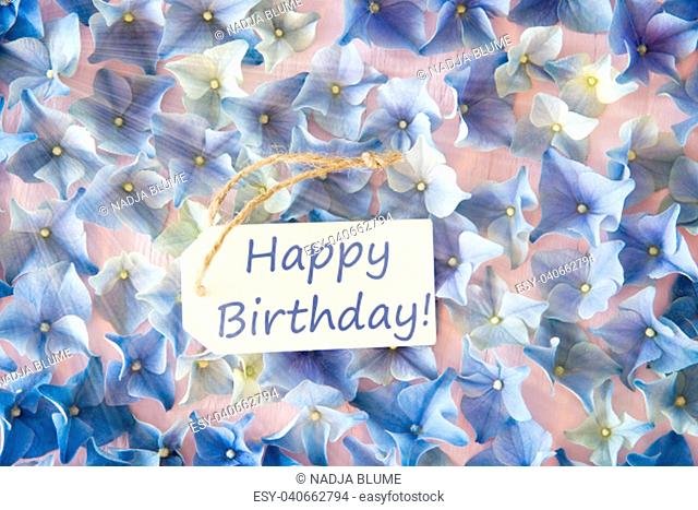 Label With English Text Happy Birthday. Sunny Flat Lay Of Hydrangea Blossoms