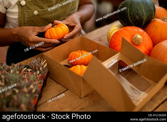 Woman boxing bright orange pumpkins in shop