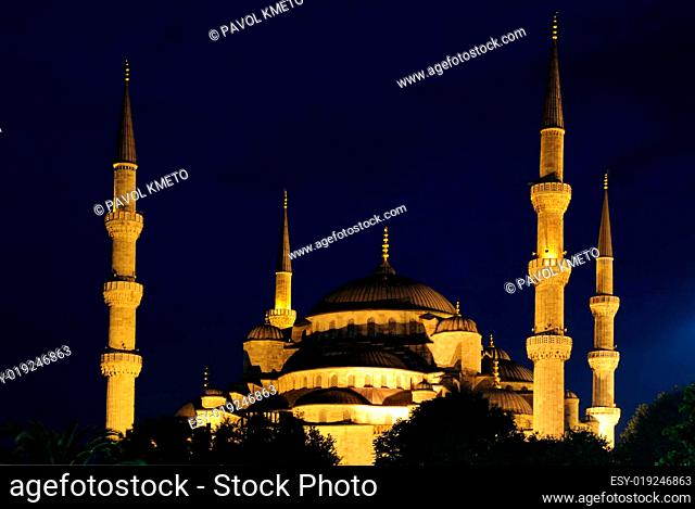 Blue mosque and fountain