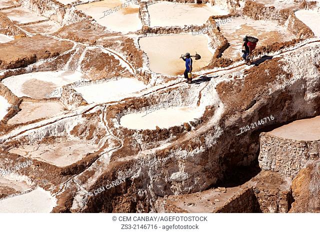 Workers in the salt flats on terraces at Salinas in the village of Maras, Salinas, Cuzco, Peru, South America