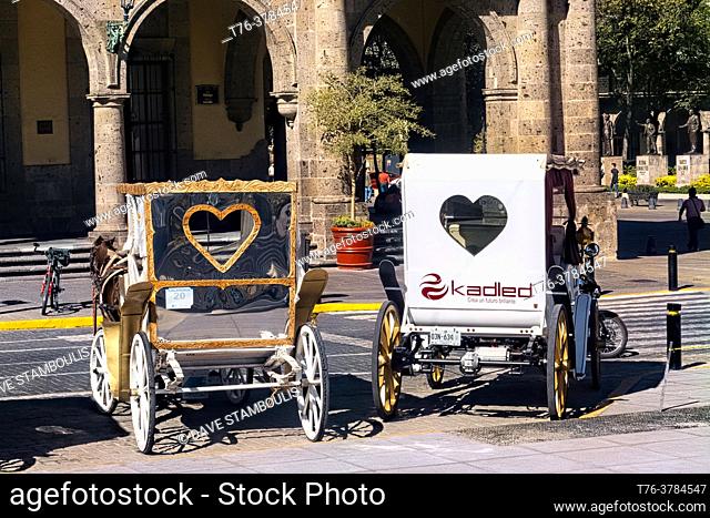 Horse carriages in the historic center, Guadalajara, Jalisco, Mexico