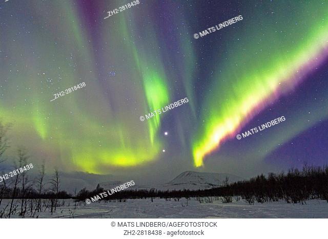 Northern light, Aurora borealis, over Nikkaluokta, mountains in background, auroa are violett, green, winter season, Kiruna, Swedish Lapland, Sweden