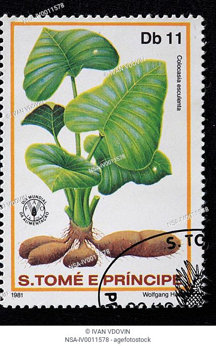 Wild Taro, Tarot Colocasia esculenta, postage stamp, Saint Thomas and Principe, 1981