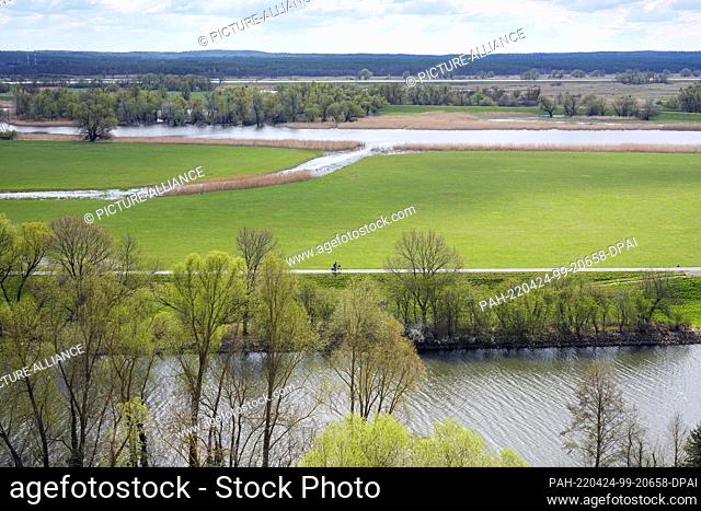19 April 2022, Brandenburg, Schwedt/Ot Schöneberg: View from the lookout point Richterberg at the edge of the village Stützkow in the National Park Lower Oder...