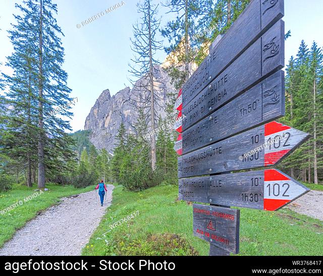 Hiking signage along footpath to Rifugio Zsigmondy Comici hut, Val Fiscalina, Sesto/Sexten Dolomites, South Tyrol, Italy, Europe