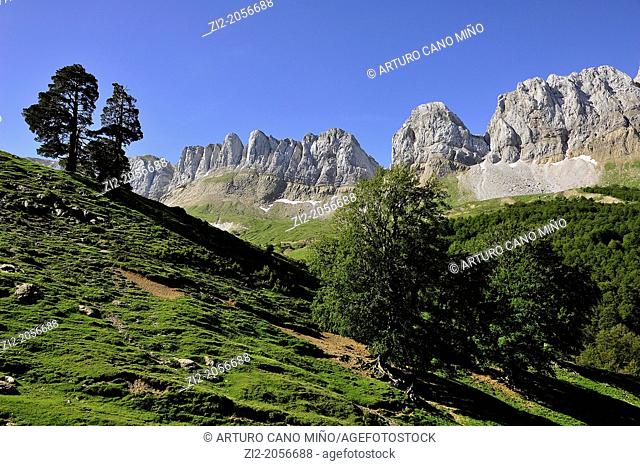 Sierra de Alano, Anso Valley, Aragonese Pyrenees, Huesca province, Aragon, Spain