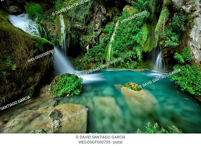 Spain, Urbasa y Andia Natural Park, Urederra river flowing between trees