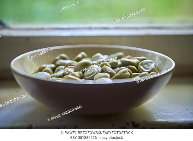 Cooked broad beans in a bowl