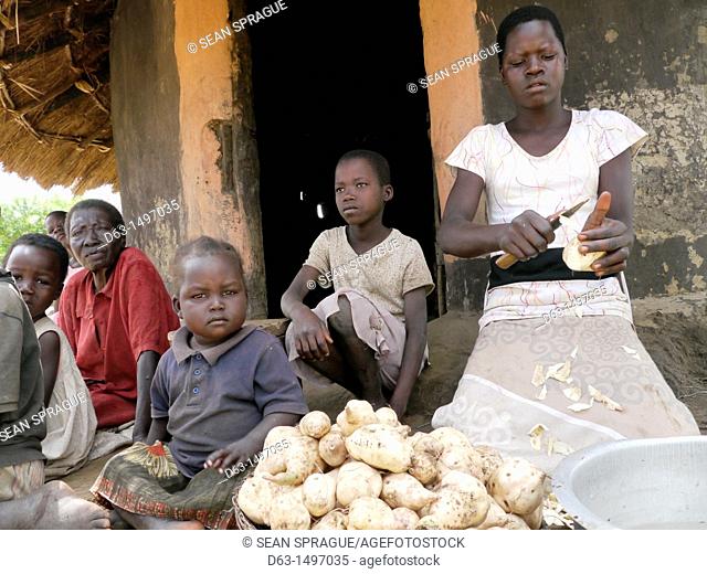 UGANDA    The work of Comboni Samaritans, Gulu  Visiting a child headed family  Aromorach Sharon is the oldest girl and looks after her 6 younger siblings and...