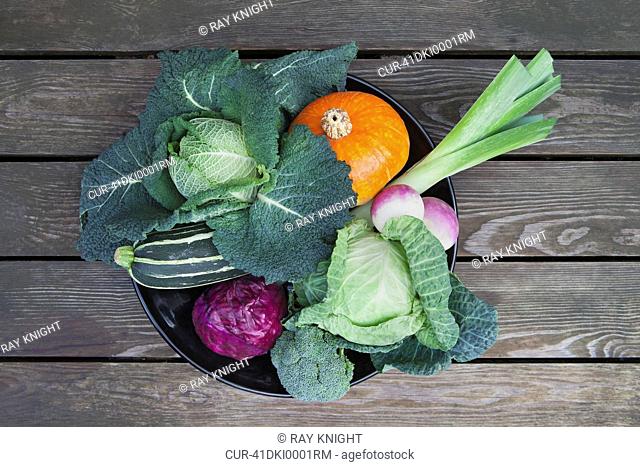 Autumn vegetables. pumpkin, leek, red cabbage, courgette, turnip, cabbage