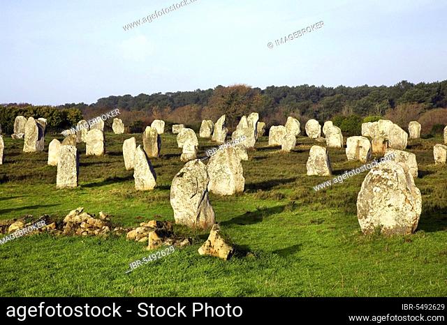 Megaliths, Carnac, Morbihan, Brittany, Karnag, Menhir, Menhirs, Megalith, France, Europe