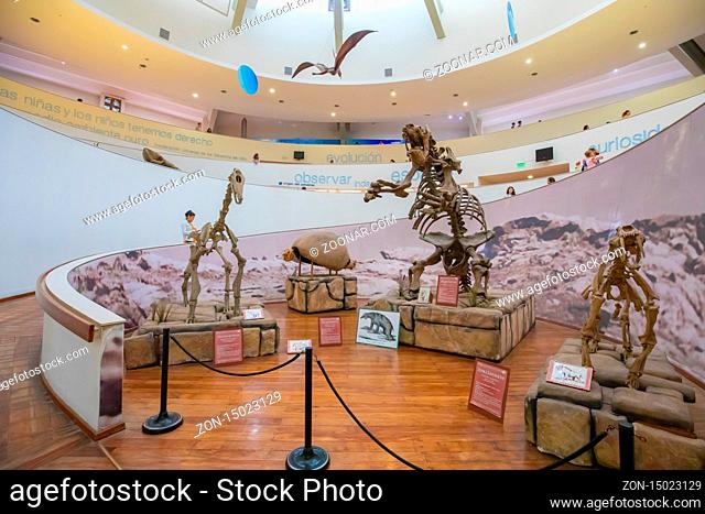 Cordoba Argentina January first floor of Natural Science Museum that houses prehistoric animal skeletons and is sited in Southern Cordoba