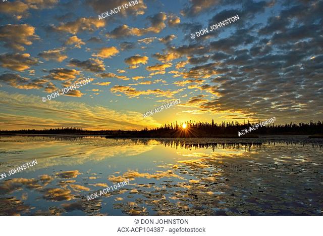 Dawn skies reflected in a beaver pond, Wood Buffalo National Park, Alberta, Canada