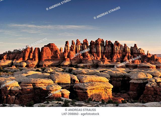 Rock spires in Chesler Park, Needles Area, Canyonlands National Park, Moab, Utah, Southwest, USA, America