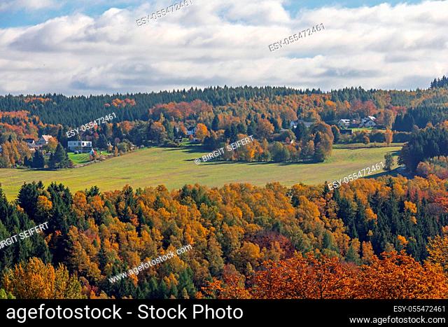 mixed forest, vogtland