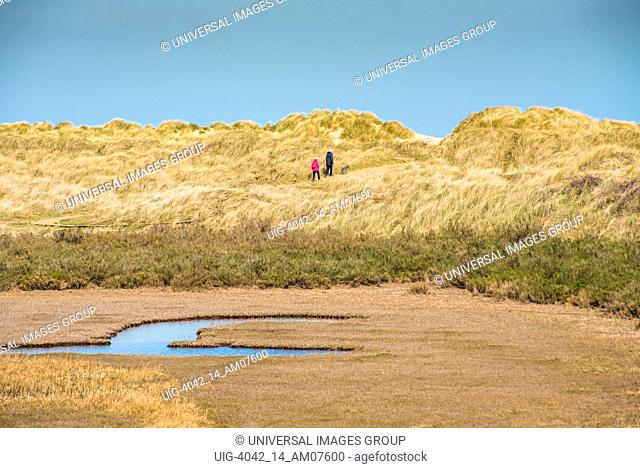 Sand dunes where Norfolk Coast path National Trail from Barnham Overy Staithe reaches the sea, East Anglia, England, UK