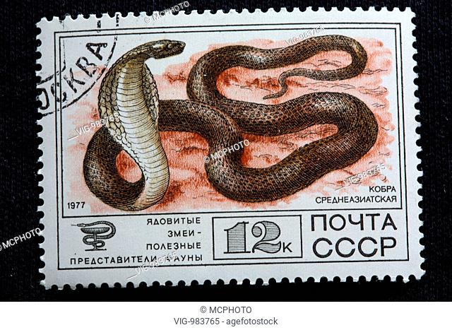 Central Asian Cobra (Naja oxiana), postage stamp, USSR, 1977 .| - 04/01/2007