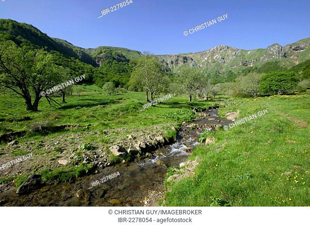 Chaudefour Valley Natural Reserve, Sancy montain, Monts Dore, Auvergne Volcanoes Natural Park, Puy de Dome, Auvergne, France, Europe