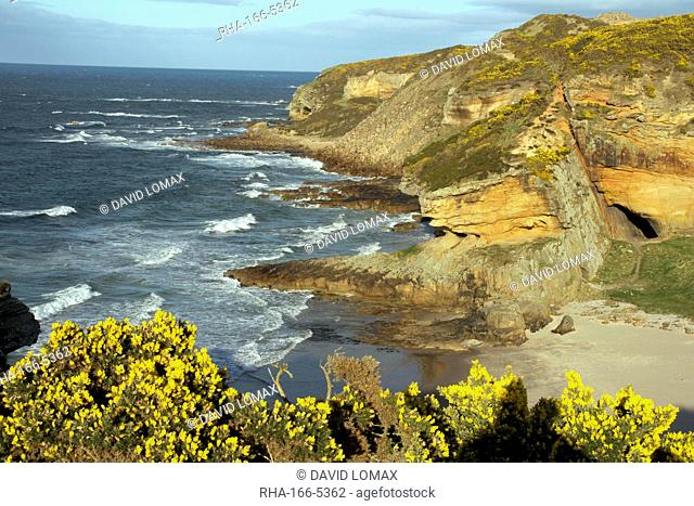 Cliffs near Findhorn on the Morayfirth, Scotland, United Kingdom, Europe